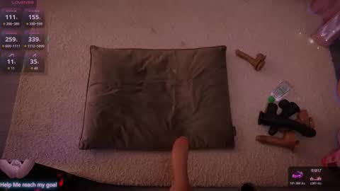 Redhead Shark online show from 01-09-26, 01:14