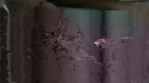 Snapshot of redhotslovesex chatting on 10-26-25, 08:09 redhotslovesex online show from 10-26-25, 08:09