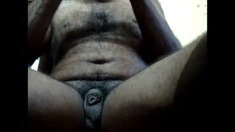 reegan889 online show from 02-04-25, 02:49