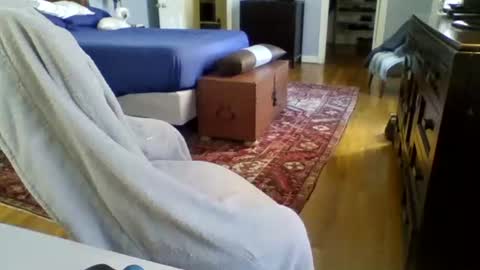 RegularGuyNOLA online show from 01-24-25, 06:14