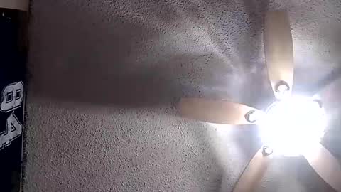 Snapshot of rg120 chatting on 12-02-25, 12:43 rg120 online show from 12-02-25, 12:43