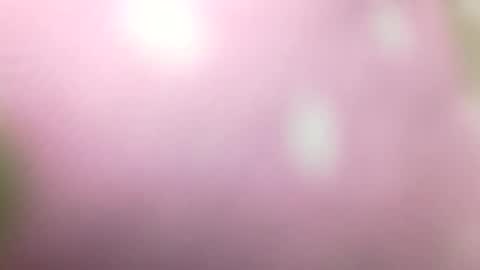 Snapshot of rhymes2479 chatting on 01-01-25, 10:56 Shaved cock ready online show from 01-01-25, 10:56