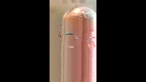 Rickyrocket online show from 03-26-26, 03:01