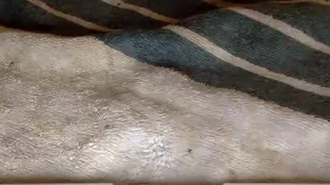 rimachaka online show from 12-27-24, 08:18