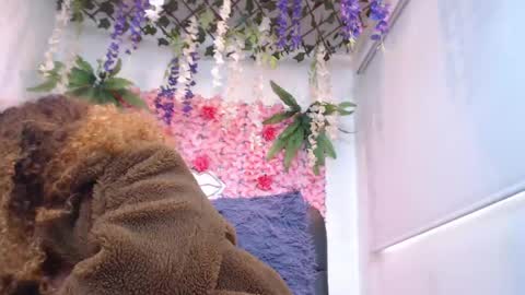 Risitos De Oro online show from 04-20-26, 06:31