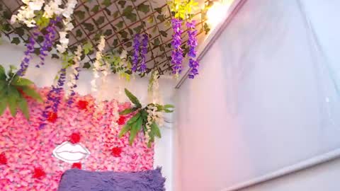 Risitos De Oro online show from 04-22-26, 02:14