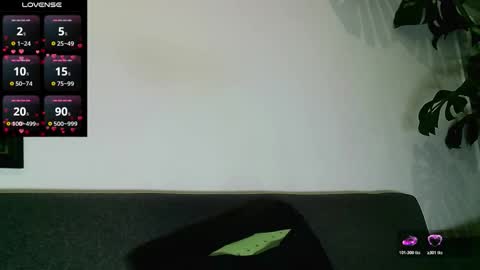 SebasRoa online show from 01-06-26, 04:00