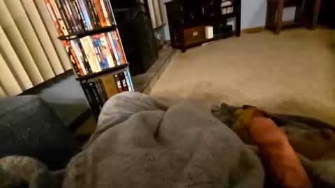 robbiebob6828 online show from 03-02-26, 04:14