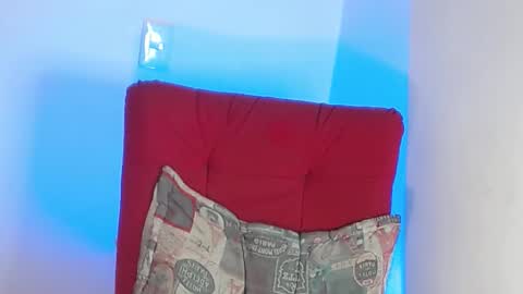 Snapshot of robert_leroy chatting on 02-01-25, 10:13 Stiven - online show from 02-01-25, 10:13