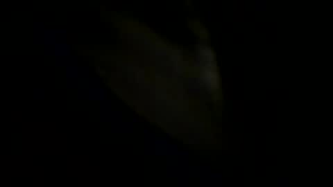 Snapshot of robertsmethurst chatting on 05-31-26, 06:09 Johnny online show from 05-31-26, 06:09