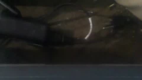 Snapshot of robincom23 chatting on 12-20-24, 03:36 R online show from 12-20-24, 03:36