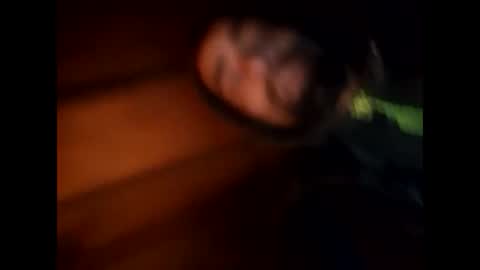 Snapshot of robincom23 chatting on 01-28-25, 04:50 R online show from 01-28-25, 04:50