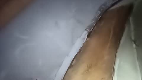 Snapshot of robincom23 chatting on 10-01-25, 04:29 R online show from 10-01-25, 04:29