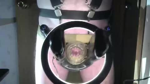 Robodickmilker online show from 02-25-26, 12:20