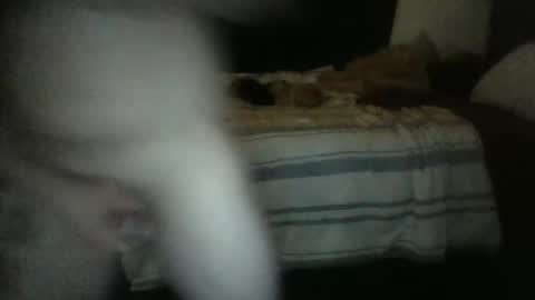 Snapshot of rockharder000 chatting on 12-23-24, 11:25 rockharder000 online show from 12-23-24, 11:25