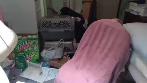 Snapshot of rocky082288 chatting on 11-25-25, 10:26 rocky082288 online show from 11-25-25, 10:26