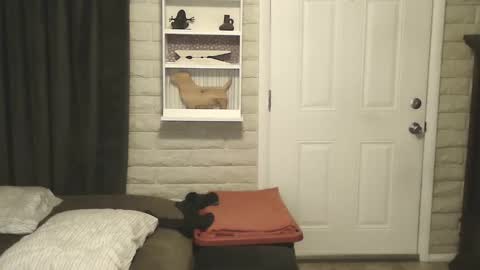 roinaz online show from 01-25-25, 06:55