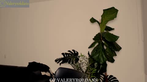 Snapshot of roldansvalery chatting on 02-04-25, 03:44 Valery Roldans online show from 02-04-25, 03:44