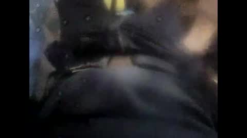 rollino83 online show from 11-06-25, 10:38