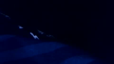 romain online show from 03-03-26, 08:48