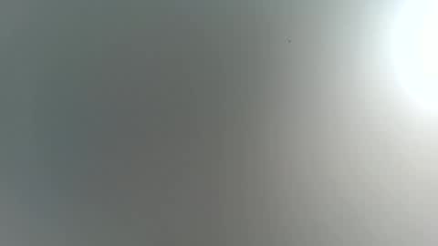 Trinked online show from 11-22-25, 04:22