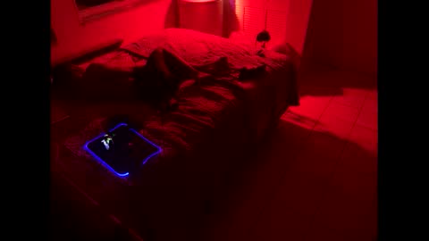 Snapshot of romeotyn chatting on 02-21-25, 03:01 romeotyn online show from 02-21-25, 03:01