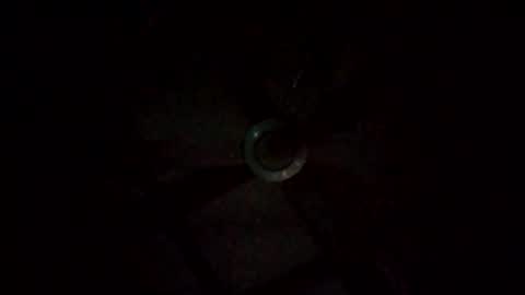 rompeculos121 online show from 03-09-25, 11:47