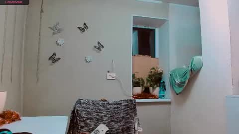 rosa843850 online show from 12-08-24, 04:39