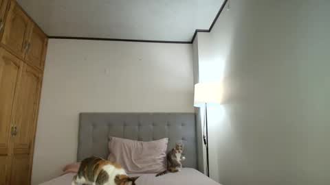 Snapshot of rosasanta8009 chatting on 10-19-25, 08:31 I am Rosa online show from 10-19-25, 08:31