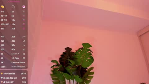 DREAM online show from 01-04-25, 02:46