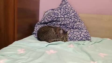 roxy secrets online show from 01-16-25, 06:48