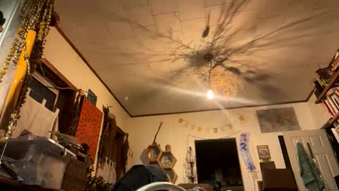 rp131313 online show from 11-09-25, 01:59