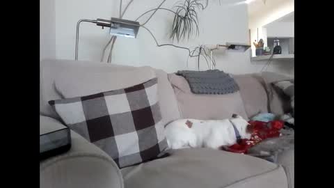 Rusty online show from 03-06-25, 04:07