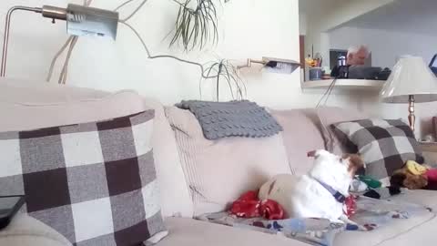 Rusty online show from 03-08-25, 06:58