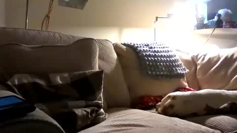 Rusty online show from 10-02-25, 01:34