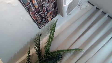 Snapshot of ryan_hyeson chatting on 01-26-25, 06:27 Its me Ryan online show from 01-26-25, 06:27