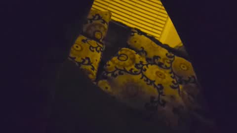 RFC666 online show from 02-08-26, 10:40