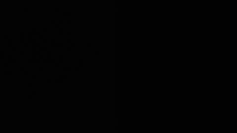 Ryushi009 online show from 01-21-25, 08:41