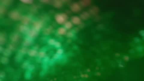 Snapshot of s_sofia_ chatting on 01-25-25, 01:21 s_sofia_ online show from 01-25-25, 01:21