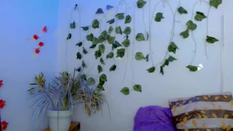 SABRI online show from 02-22-26, 03:21