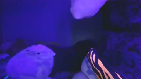 saddybaddie online show from 03-13-26, 06:09