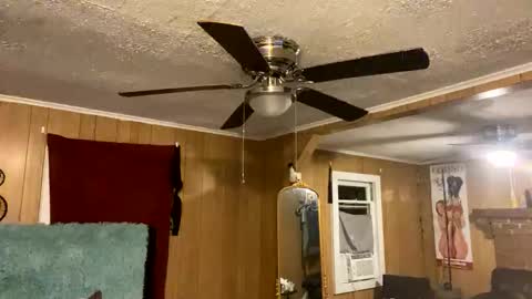 Snapshot of sailaway9694 chatting on 10-10-25, 02:10 PupTwink online show from 10-10-25, 02:10