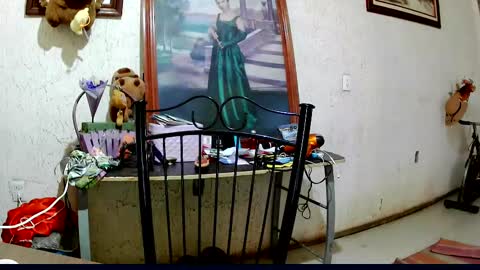 Snapshot of sailor_ruby7 chatting on 10-02-25, 09:11 ruby chocoholic cakeholic coffeeholic cookieholic online show from 10-02-25, 09:11