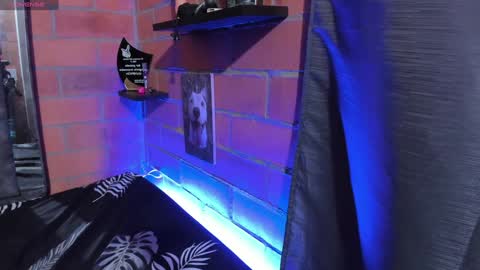 sainix_ online show from 12-18-24, 02:21