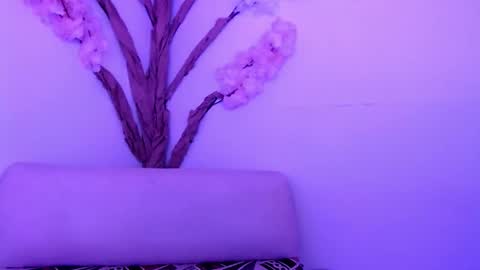 Hikari online show from 10-23-25, 07:01