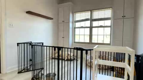 Cum Hanks online show from 03-13-26, 02:23