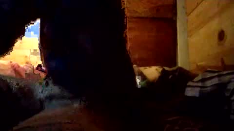 Snapshot of salido543 chatting on 12-14-25, 10:09 Penoso online show from 12-14-25, 10:09