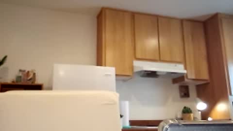 Snapshot of salis1981 chatting on 03-02-25, 05:36 salis1981 online show from 03-02-25, 05:36