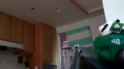 Snapshot of salis1981 chatting on 09-18-25, 07:49 salis1981 online show from 09-18-25, 07:49