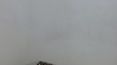 salome online show from 11-04-25, 06:29